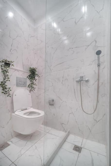 Εστία 10 Λεπτά Από Την Ακρόπολη Apartment Athena Bagian luar foto